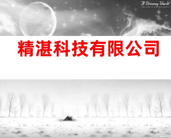 精湛科技有限公司
