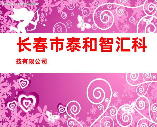 长春市泰和智汇科技有限公司