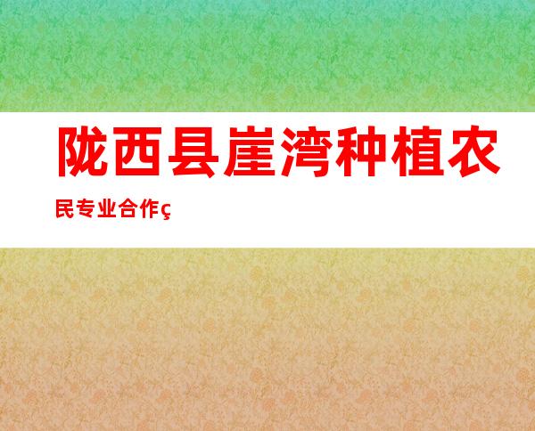 陇西县崖湾种植农民专业合作社